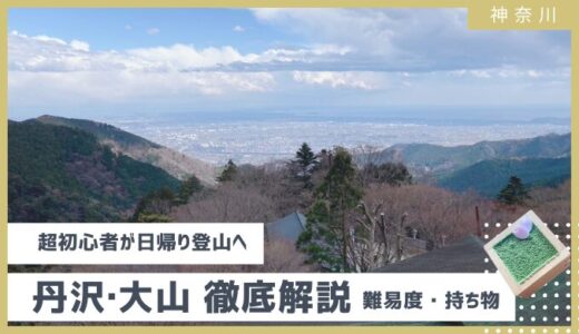 【丹沢・大山】超初心者が日帰り登山へ！お得に行く方法や難易度や注意点、ご褒美の阿夫利神社で升ティラミスまで【2024年】