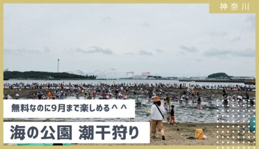 【3月から楽しめる・横浜 海の公園の潮干狩り】2025年はアサリ取れない？混雑状況も含めてレビュー