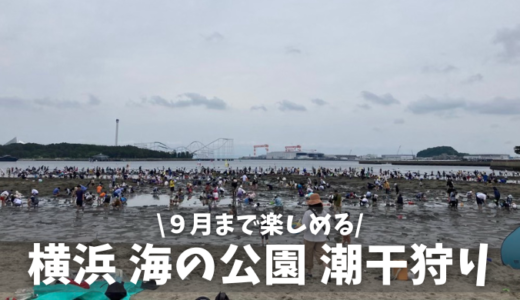 【９月まで楽しめる・横浜 海の公園の潮干狩り】2024年はアサリ取れない？混雑状況も含めてレビュー