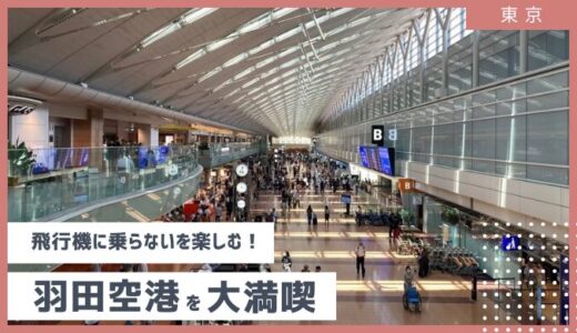 【飛行機に搭乗しなくても羽田空港を大満喫】無料でこんなに楽しめる♬ 夏休みにもオススメな大人の社会科見学 2024