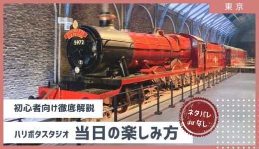 【初心者向け 当日楽しみ方】ほぼネタバレ無しで徹底解説ハリポタスタジオ 2024年10月