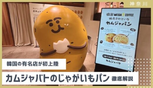 行列は？【韓国グルメカムジャパン】MEGA COFFEEのジャガイモ餅カムジャバトの値段、実食レビュー 2025年8月