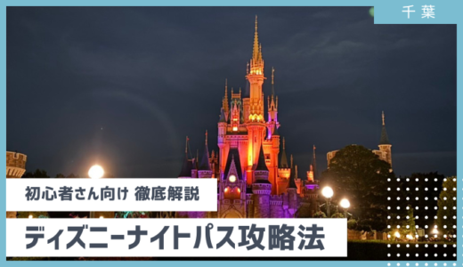 【超楽しい！】ディズニーランド/シーで夜・夕方からでも楽しむ方法 オススメや注意点まで紹介 2025