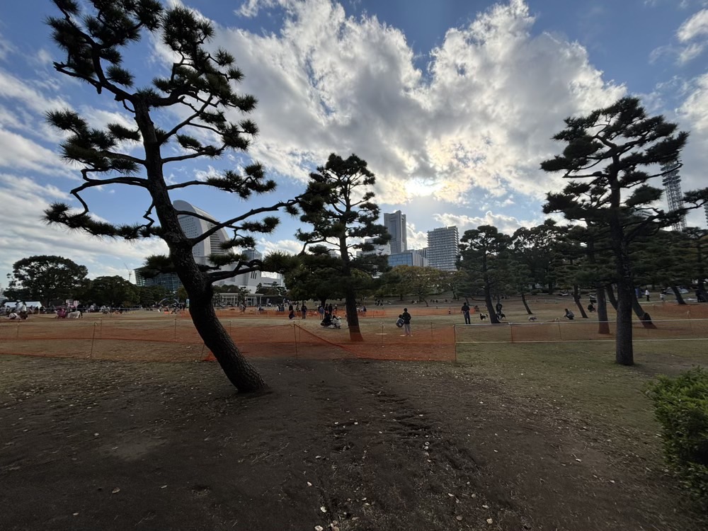 臨海パークの景色